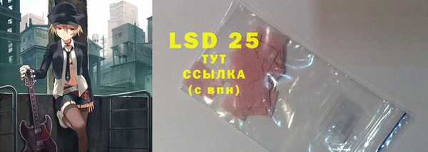 mdpv Каменногорск