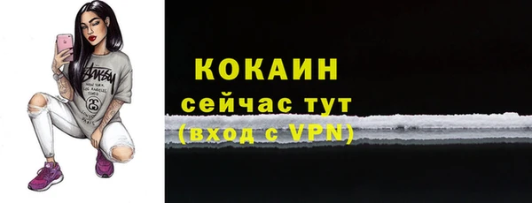 mdpv Каменногорск