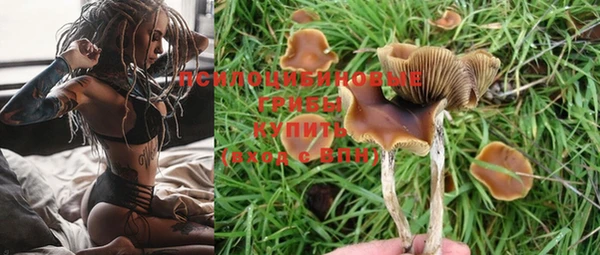 трава Каменск-Шахтинский