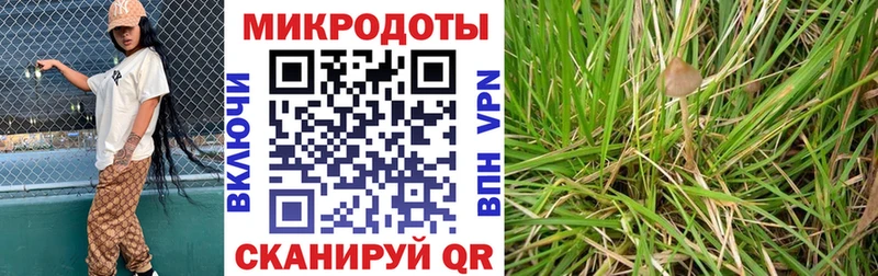 Псилоцибиновые грибы мицелий  Купить  Томилино 